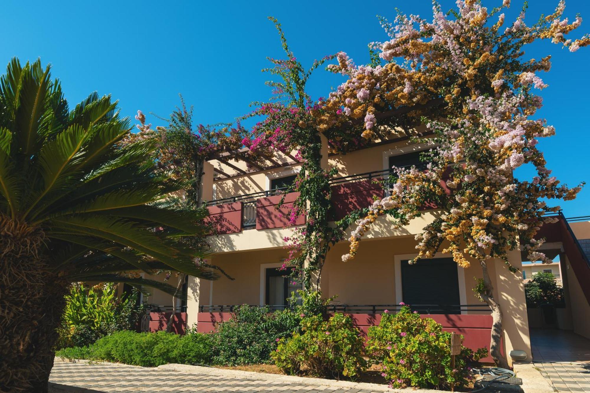 Kambos Village Agia Marina 외부 사진